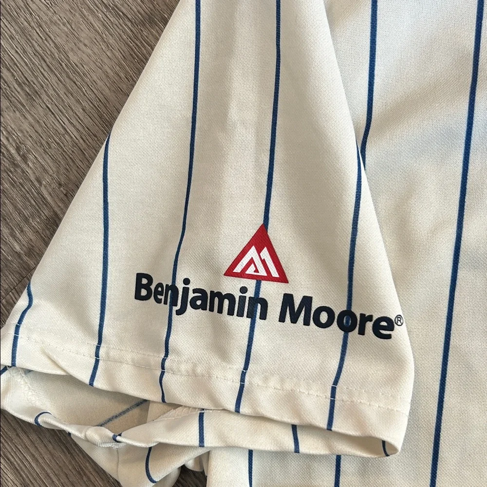 Vintage Chicago Cubs Pinstripe Baseball Jersey Size Large MLB - Picture 4 of 6